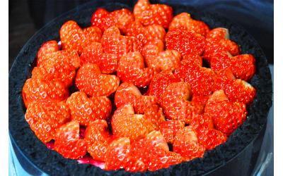 Blackpool Strawberry<br>黑池草莓